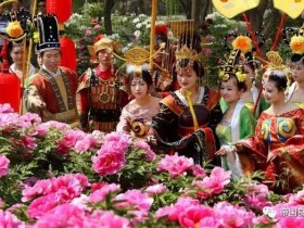 中国花协推荐牡丹为国花之为什么不是棉花呢?