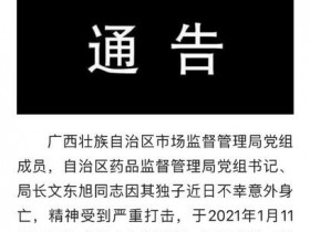 广西一女局长坠亡追踪：事发前儿子自杀竟然又是TA惹的祸！