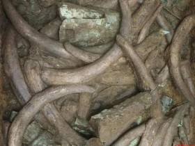 专家说三星堆绝不可能是外星文明他们竟拿出证据怼了回去!