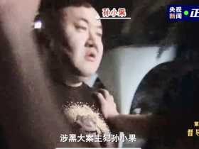 孙小果被执行死刑前现场视频首曝光这一个细节判定他到底冤不冤!