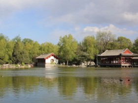 中美博弈背后的世界局势:日本竟然如此草率的赌上国运!