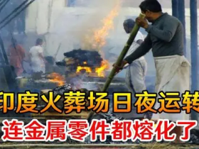 尼泊尔疫情会影响西藏吗情况危殆很多文章被删幸好这篇留下来了!