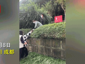 成都多人逃离疫情封控区?警方回应原来如此险恶的动机!