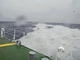 日本近海出现密密麻麻鱼类尸体场景恐怖这个责任不可推卸!