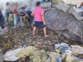 土坑酸菜涉事企业相关人员被控制:康师傅统一等多家企业连夜发文表态