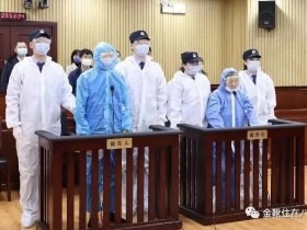 曲婉婷母亲被判无期和500多个家庭:原来张明杰是个有故事的女人!