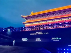 专家称比亚迪不可能成老大,却要打断小日本的脊梁骨!