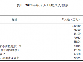 中国65岁以上老年人口首次超过0-14岁少儿人口