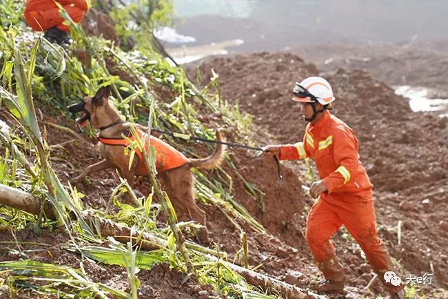 六盘水山体滑坡视频最新消息及死亡人数全程直击