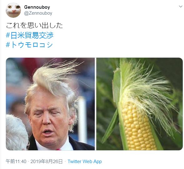 美国玉米用来做什么？那可是特朗普搞外交的“核武”，看日本人就认购了200亿！