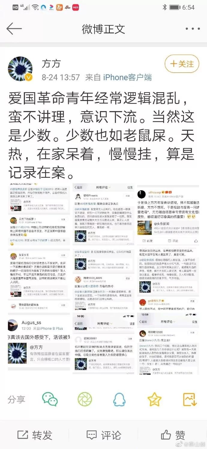 湖北作协主席方方气急败坏大骂爱国青年意识下流，吓尿小伙伴！