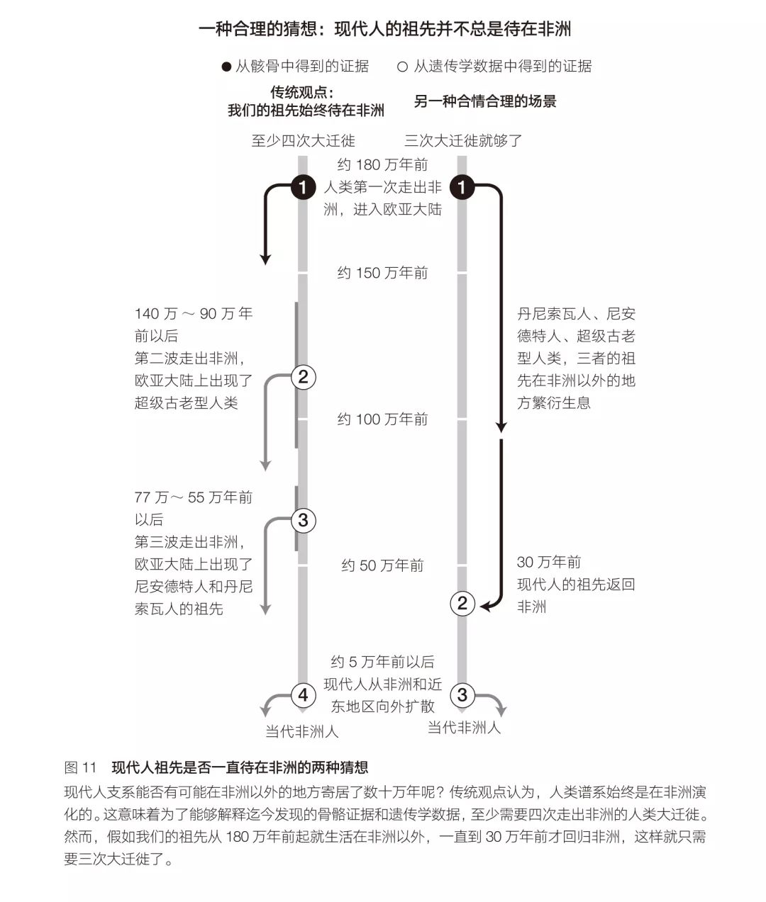 人类的祖先到底是“走出非洲”还是“走回非洲”？