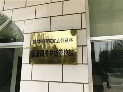 甘肃成立调查组调查敦煌防护林被毁：一批官员的乌纱帽看来要丢掉！