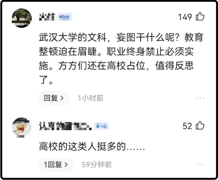 教师发表南京大屠杀不当言论被开除宋庚一说了什么使武汉大学也遭殃！